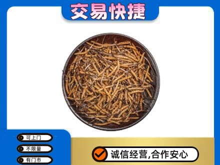 安吉县礼品回收虫草.jpg
